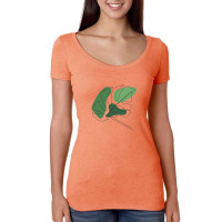 Monstera Floral One Line Art Women's Triblend Scoop T-shirt | Artistshot