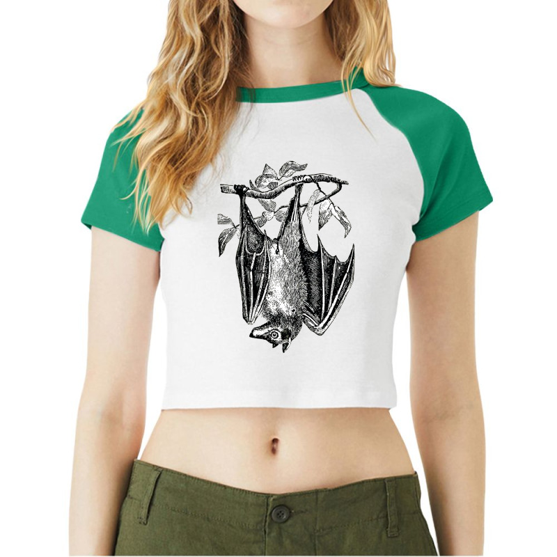 Classic Film  Fruit Bat Funny Gift Raglan Crop Top by AlisonArtists | Artistshot