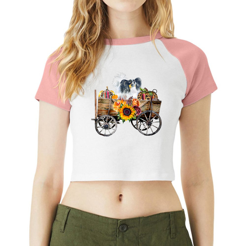 Womens Papillon Gifts Clothing   Papillon Dog In Country Wagon V Neck Raglan Crop Top by shielsqdkatulag | Artistshot