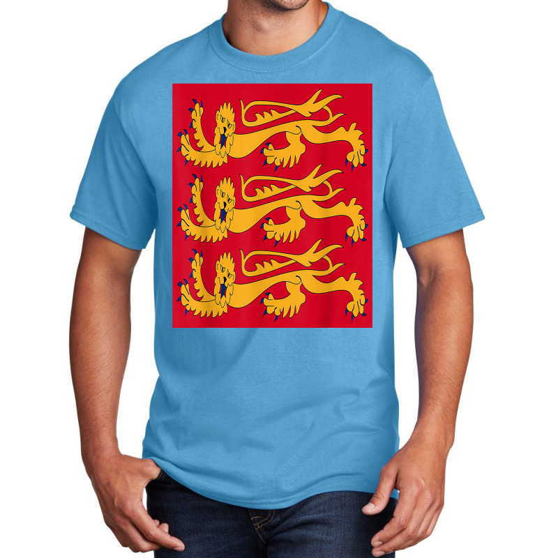 House Of Plantagenet T Shirt Angevin Empire Lancaster York Basic T-shirt | Artistshot