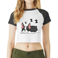 Boston Terrier Dog Pajama Funny Sleeping Boston Te Raglan Crop Top | Artistshot