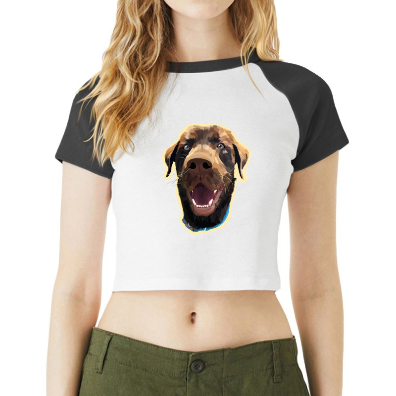 Dog Excitement Raglan Crop Top by mshel tyan | Artistshot