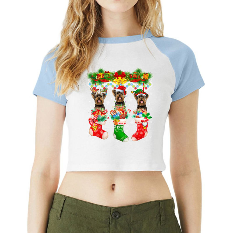 Three Santa Reindeer Elf Yorkshire Terriers In Xmas Socks Raglan Crop Top by saterseim | Artistshot