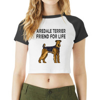 Airedale Terrier Friend For Life Dog Friendship 3 Raglan Crop Top | Artistshot