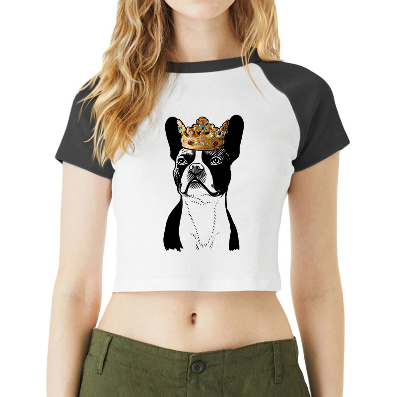 Boston Terrier Dog Wearing Crown Raglan Crop Top by KYERRAREED | Artistshot