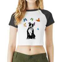 American Staffordshire Terrier Butterflies Amstaff Raglan Crop Top | Artistshot