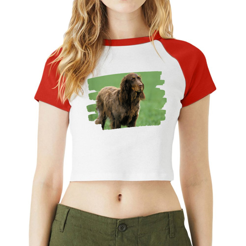 Picardy Spaniel Dog Lover Raglan Crop Top by Scarlets | Artistshot