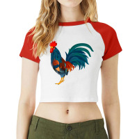 Rooster Classic Raglan Crop Top | Artistshot