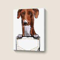 Azawakh Puppy For A Dog Owner Pet Pocket Colored Portrait Canvas Print | Artistshot