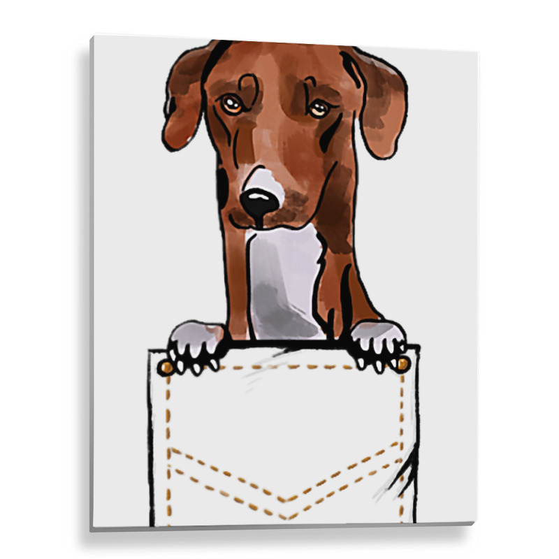 Azawakh Puppy For A Dog Owner Pet Pocket Colored Metal Print Vertical | Artistshot