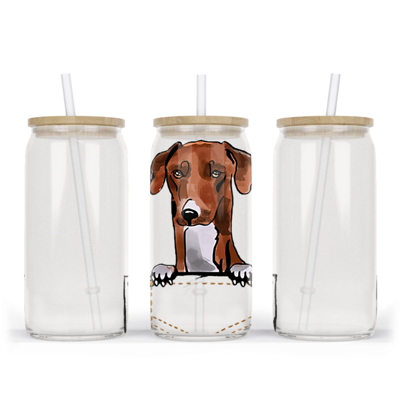 Azawakh Puppy For A Dog Owner Pet Pocket Colored Glass Tumbler | Artistshot