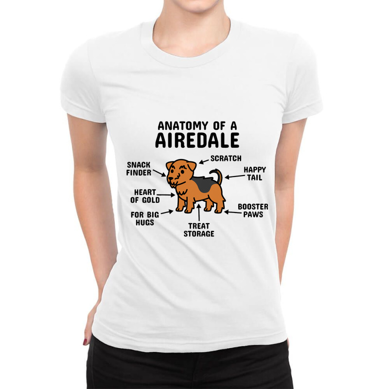 Anatomy Of An Airedale Terrier Dog 3 Ladies Fitted T-Shirt by SHAWNTANEICEWOODARD | Artistshot