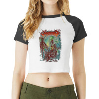 Bortered Raglan Crop Top | Artistshot