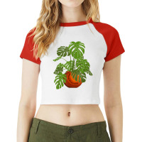 Monstera Potted Plant Friendly Plant Love Gardener Botanist T Shirt Raglan Crop Top | Artistshot