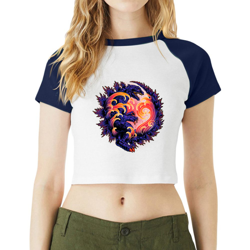 Wave Of Destruction Raglan Crop Top by cm-arts | Artistshot