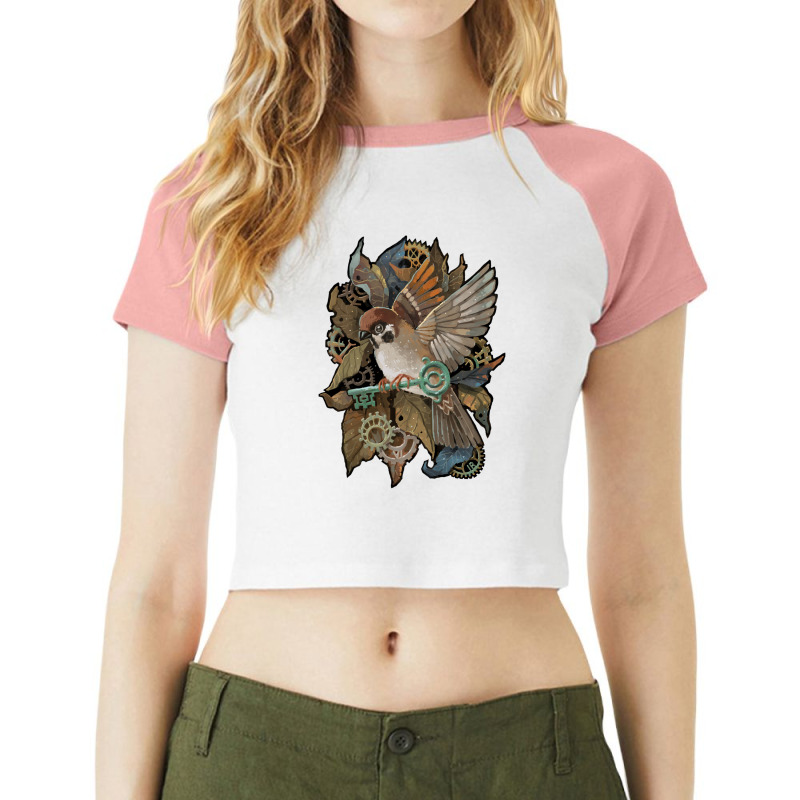 Clockwork Sparrow 1 Raglan Crop Top by cm-arts | Artistshot