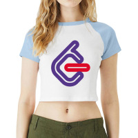 Leetcode Expert Programmer Raglan Crop Top | Artistshot