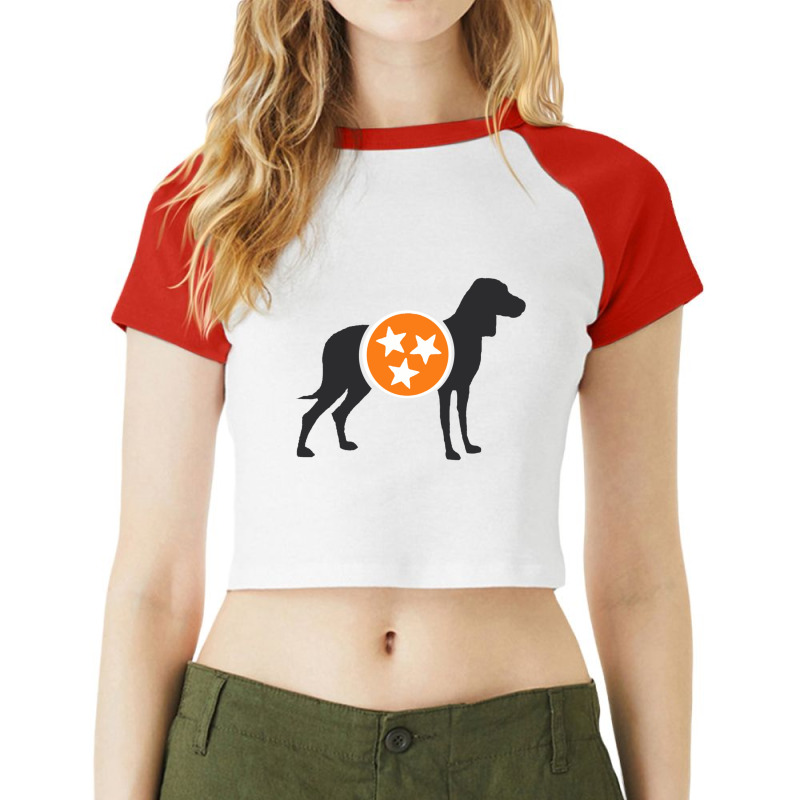 Dark Gray Hound With Orange _amp_ White Tri-star Raglan Crop Top by KIMARMSTEAD | Artistshot