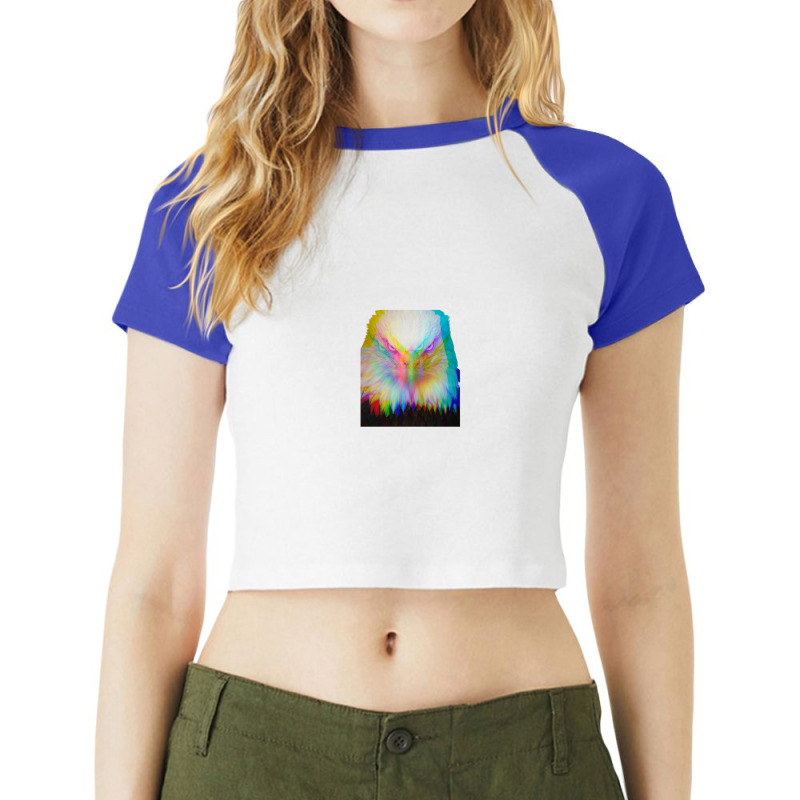 Hypnotic Eagle Portrait Wild Raglan Crop Top by JimenaBauer | Artistshot