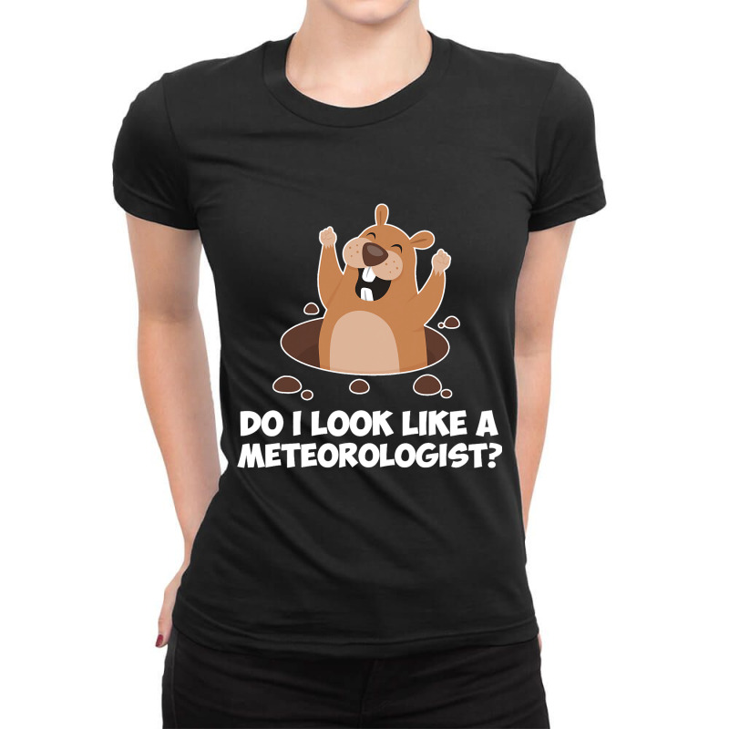 Do I Look Like A Meteorologist Funny Groundhog Day Ladies Fitted T-Shirt by MartellHorgan | Artistshot