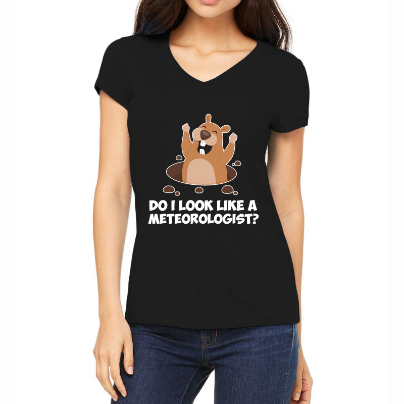 Do I Look Like A Meteorologist Funny Groundhog Day Women's V-Neck T-Shirt by MartellHorgan | Artistshot