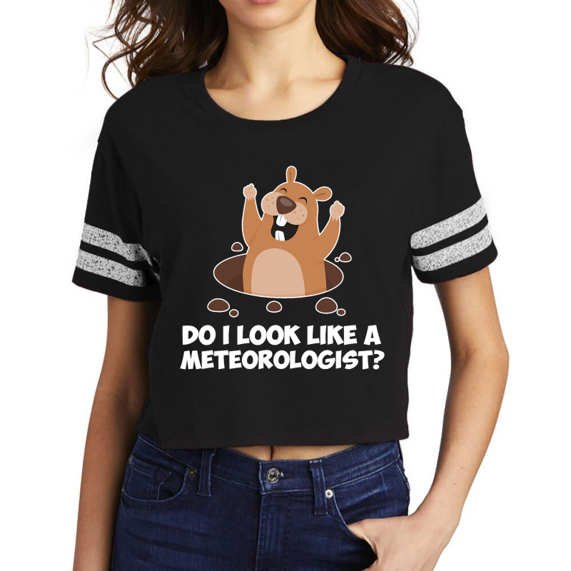 Do I Look Like A Meteorologist Funny Groundhog Day Scorecard Crop Tee by MartellHorgan | Artistshot