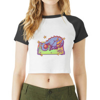 Arcade Dragon Raglan Crop Top | Artistshot