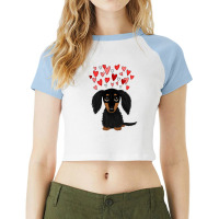 Black And Tan Longhaired Dachshund With Hearts For Boyfriend Raglan Crop Top | Artistshot