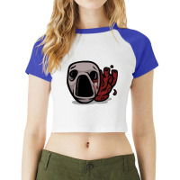 Fusion Fullmetal Alchemist - Nina (26) Raglan Crop Top | Artistshot