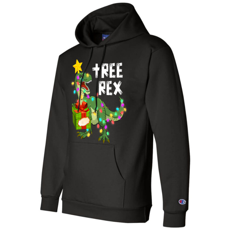 Christmas Dinosaur Kids Boys Men Christmas Lights  Champion Hoodie | Artistshot