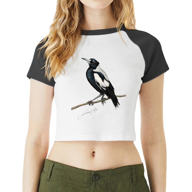 Magpie , Australian Bird Art With Artists Signature Raglan Crop Top by MYNGOO | Artistshot