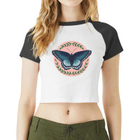 Butterfly Limenitis Arthemis Butterfly Illustration Raglan Crop Top | Artistshot