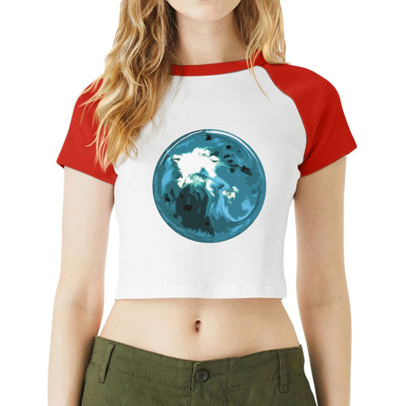 Blossom31 Raglan Crop Top by CARLARDORTON | Artistshot