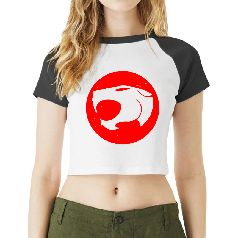 Thundercats Raglan Crop Top by cm-arts | Artistshot