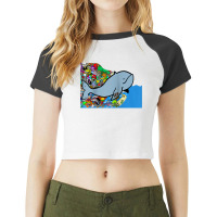 Blue Whale, Marine Sea Animal, Ocean Life, Surf, Art Work Raglan Baseb Raglan Crop Top | Artistshot