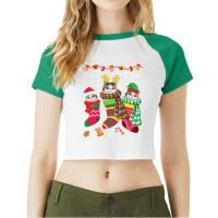 Three Exotic Shorthair Cats Inside Christmas Socks Merry Pullover Hood Raglan Crop Top | Artistshot