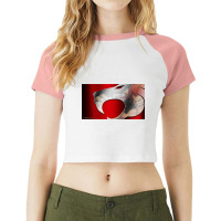 Thundercat  Premium Scoop Raglan Crop Top | Artistshot