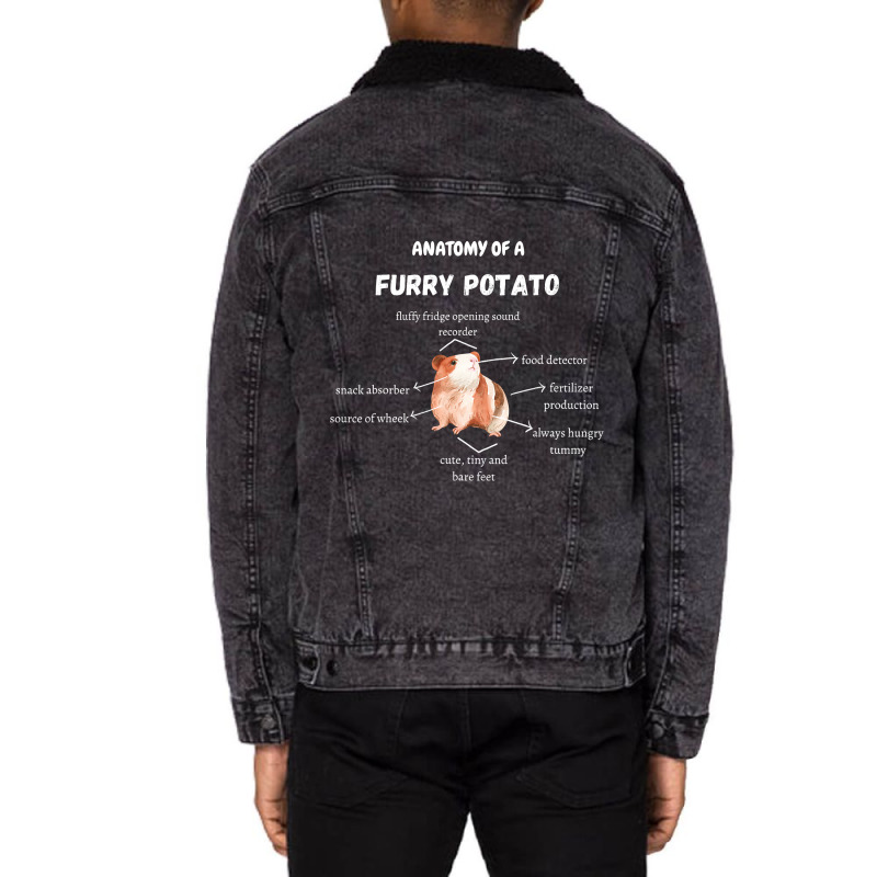 Anatomy Of A Furry Potato Guinea Pig Lover Funny P Unisex Sherpa-lined Denim Jacket | Artistshot