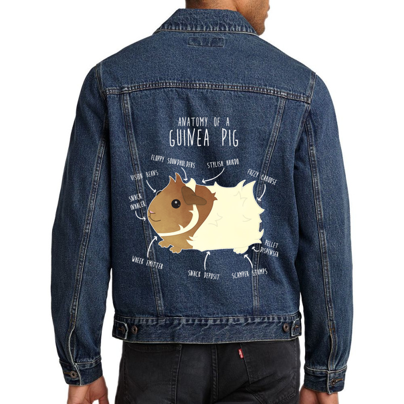 Abyssinian Guinea Pig Anatomy Funny Cute Pocket Pe Men Denim Jacket | Artistshot