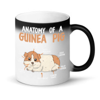 Anatomy Of A Guinea Pig Rodent Guinea Pig Magic Mug | Artistshot