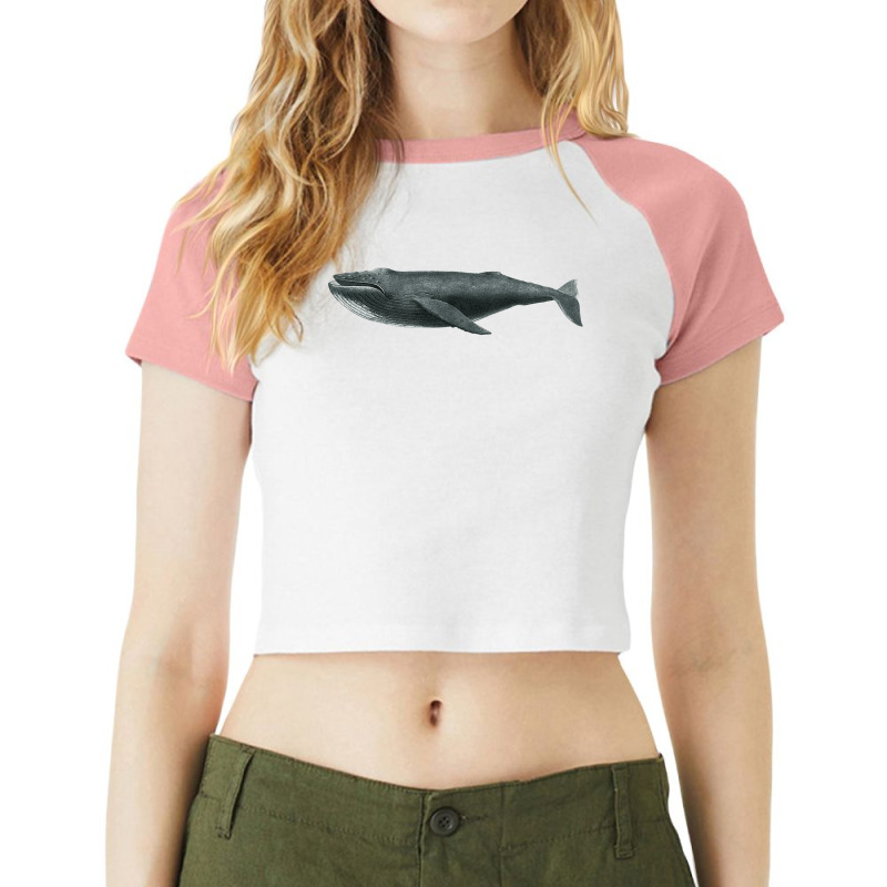 Humpback Whale Graphic Gift For Marine Biologist T Shirt Raglan Crop Top by mosesswabyhi | Artistshot