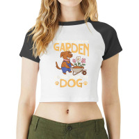 I Just Want To Work In My Garden And Hang Out With My Dog Raglan Crop Top | Artistshot