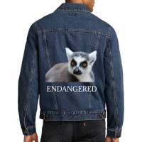 Endangered Animal Species Ringtailed Lemur Endange Men Denim Jacket | Artistshot