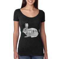 European Hare Silhouette Rabbit Forest Nature Desi Women's Triblend Scoop T-shirt | Artistshot