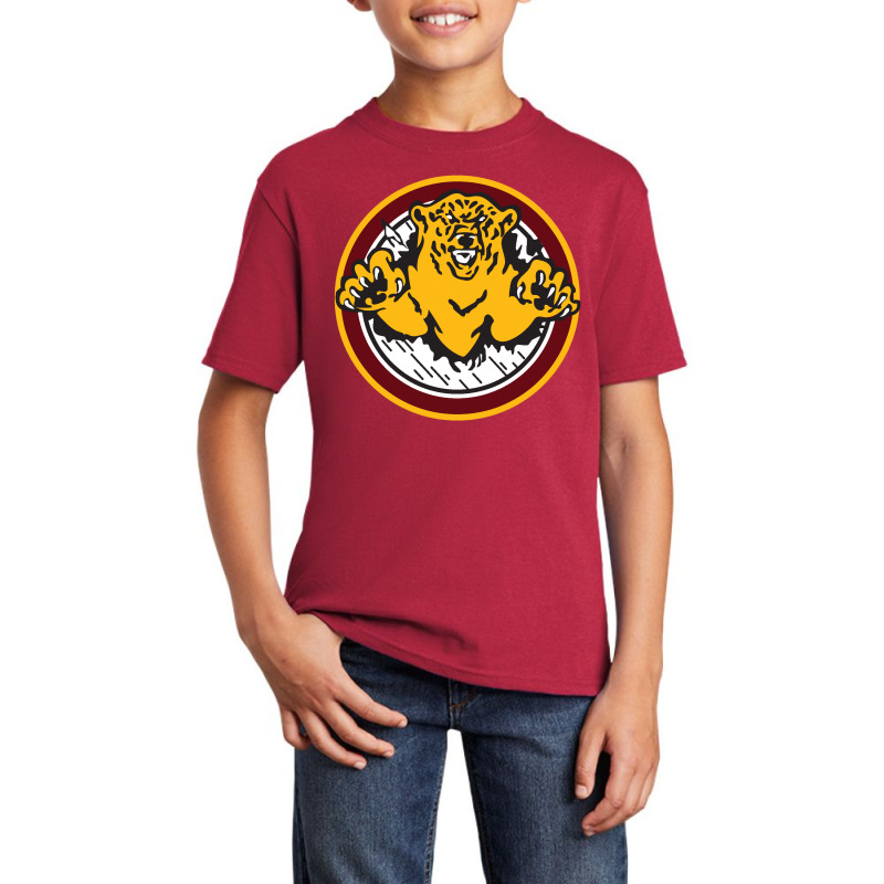 Canton Bears Hockey Basic Youth T-shirt | Artistshot