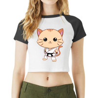 Jiu Jitsu Cat Kawaii Mma Martial Arts Pet Owner Raglan Crop Top | Artistshot