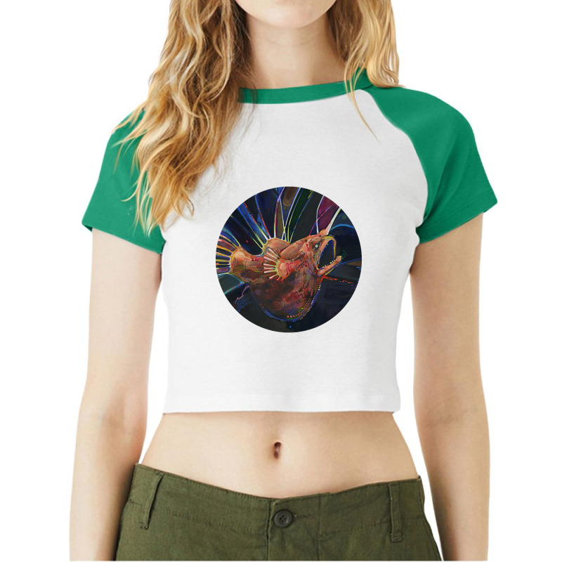 Limited Edition Fanfin Seadevil Painting - 2012 Raglan Crop Top by Rios Arevalo | Artistshot