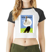 Blown Away Raglan Crop Top | Artistshot