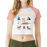 Hot Trend Zookeeper Zoo Keeper-7jblq Raglan Crop Top | Artistshot