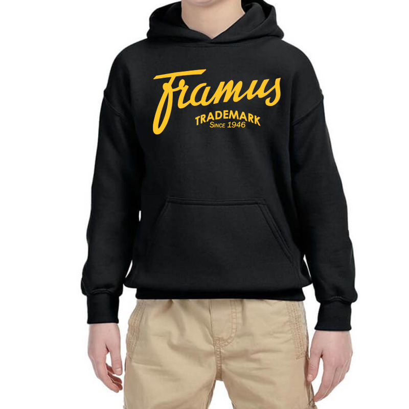 Framus Guitars And Basses Youth Hoodie by Lilin Art | Artistshot